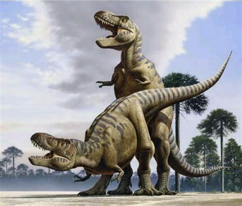 Dinosaur Sex Paleontology World