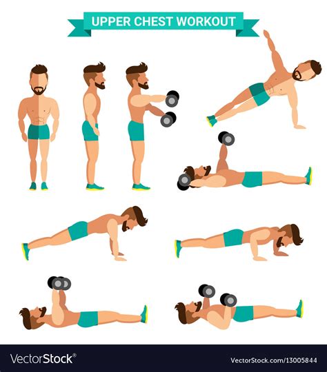 Best Upper Chest Workout For Men Exereise Vector Image