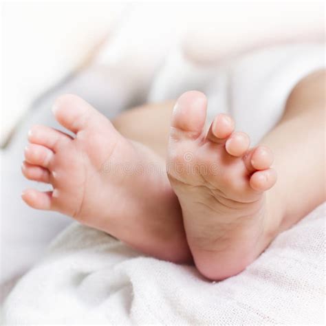 Newborn Baby Feet Stock Photo Image Of Little Closeup 24941520