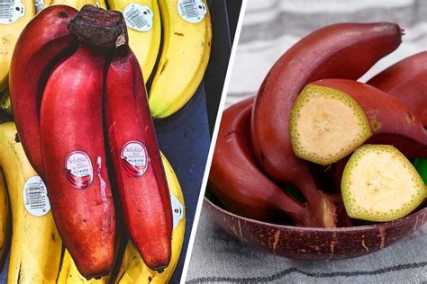 Red Banana Guide Where To Find Red Bananas Taste Of Home