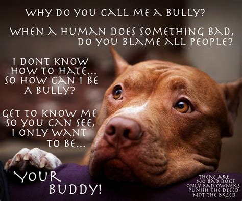 There Are No Bad Dogs Only Bad Owners Punish The Deed Not The Breed