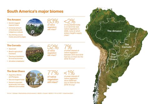 Cargill Highlights Progress Protecting South American Forests Cargill
