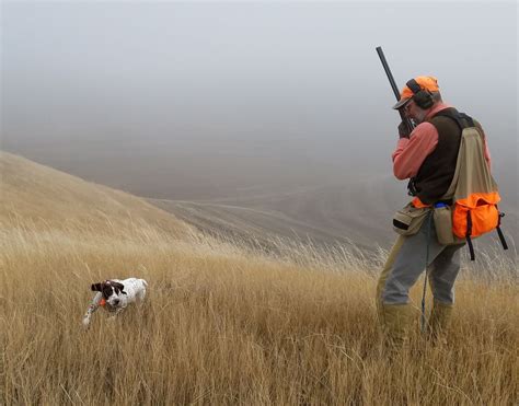 S R Hunting Outlook 2021 Bird Hunters Flush With Anticipation The