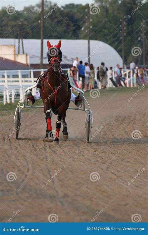 Horses And Riders Running At Horse Races Editorial Stock Photo Image