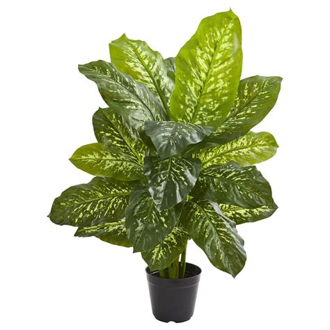 Nearly Natural Indoor 34 In Dieffenbachia Artificial Plant 6339 The