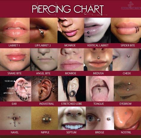 Types Of Piercings And Their Names Musely