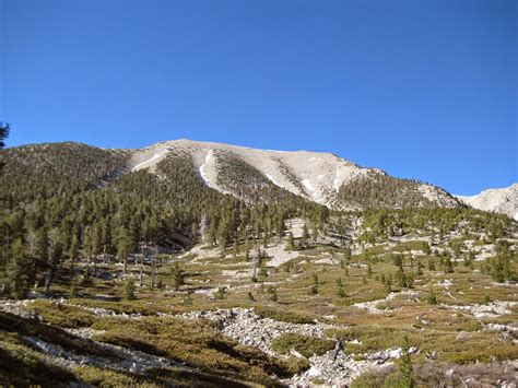 The Mountaineering Review Mt San Gorgonio Nw Ridge