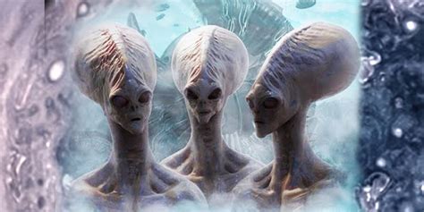 aliens lived on earth long before human existed and thrived today viral post