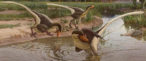 New Feathered Dinosaur Was One Of The Last Su Eurekalert