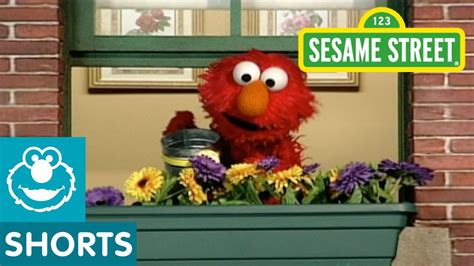 Sesame Street Plants And Flowers Elmos World Youtube