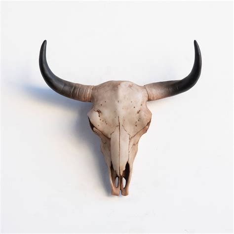 The skull is dressed in natural tones of bone and grey. Wholesale Bison Skull Head Wall Mount in 2021 | Bison skull, Skull wall decor, Faux taxidermy