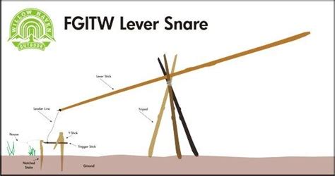 lever-snare-wide how to set up a snare | Survival skills, Survival blog, Survival