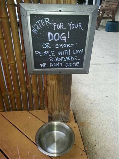 The Best Of Funny Restaurant Signs 24 Pics