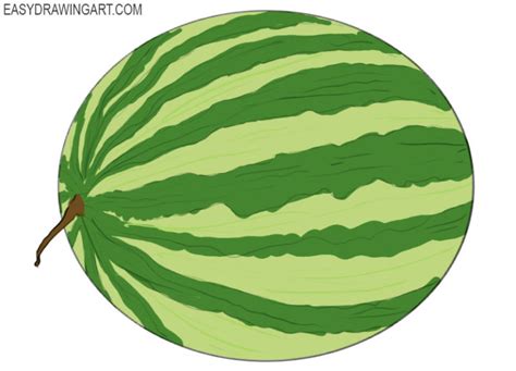 how to draw a watermelon easy drawing art