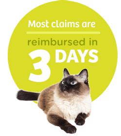 Cat insurance plans provide financial security and ensure that in the case of an illness or injury pet insurance helps protect your cat if he gets sick or injured. Cat Insurance | Best Health Insurance Plans for Cats | Pets Best