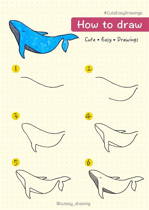 How To Draw A Whale Step By Step Work On The Whales Head Download