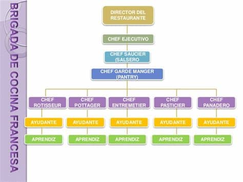 El clásico sistema de brigada u organigrama en la cocina fue establecido por auguste escoffier en el siglo xix, con la finalidad de ordenar grandes operaciones con complejos menús. SERVICIO A LA MESA