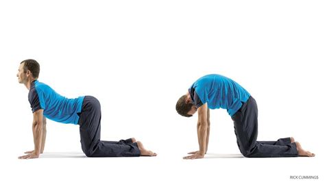 Stretches the back and neck. چگونه کمرمان را تقویت کنیم؟ تمرینات ورزشی برای تقویت عضلات کمر