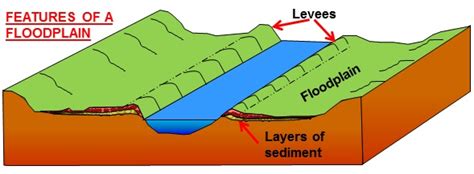 Meanders And Floodplains