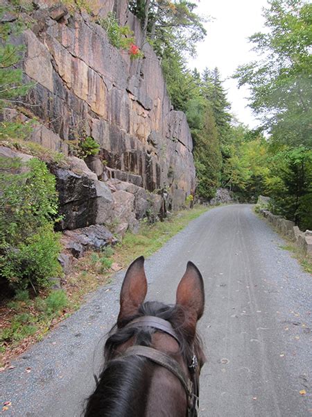 Horseback Riding Through Maines Acadia National Park Equitrekking