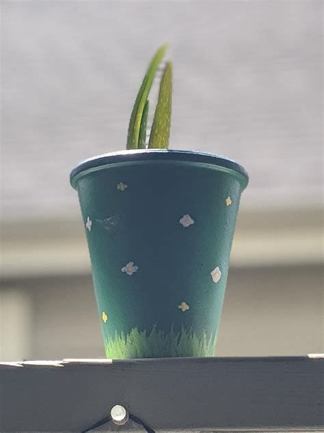 Simply adding these messages below will give your mom the butterfly effect when she. My aloe had babies, so I painted this pot and I'm gonna ...