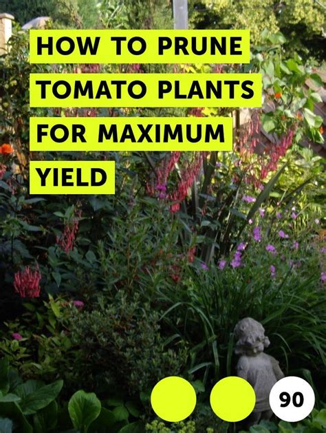 The Words How To Prune Tomato Plants For Maximum Yield Are In Front Of