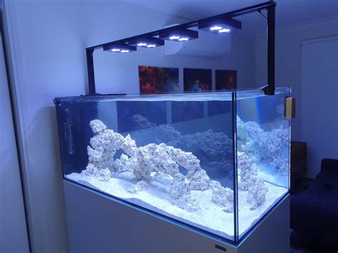 Brand New And Pic Of My First Reef Tank Peninsula Reef2reef Saltwater