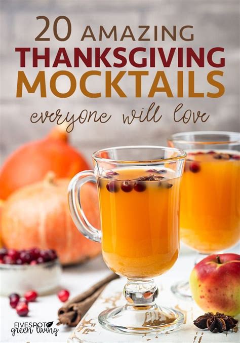 20 Easy Thanksgiving Mocktail Recipes Mocktail Recipe Healthy Drinks