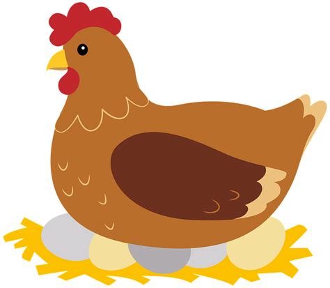 Hen Clip Art Free Clipart Best