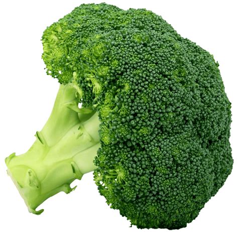 Growing Broccoli The Field Guide To Amazing Broccoli Harvests Sproutabl
