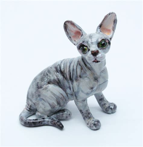 Because sphynx cats are considered to be hairless, they should be kept indoors to protect them you'd expect a cat breed with the name sphynx to be from egypt, but in fact, this hairless breed. The Sphynx Cats Characteristics, History and Pictures ...