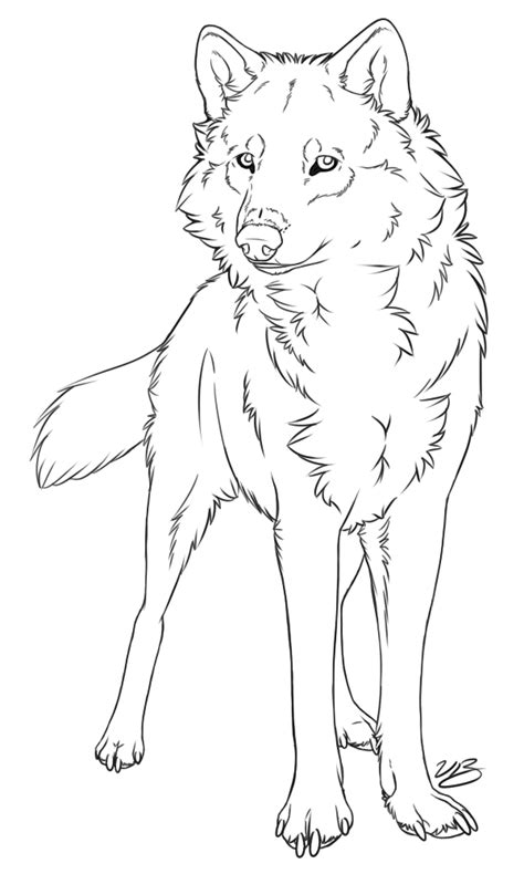 Many roleplayers have difficulty coming up with. Wolf lineart download free clip art with a transparent ...