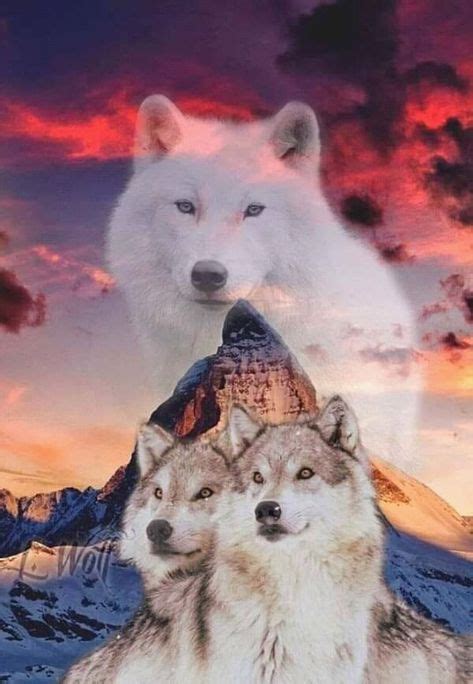 Good Morning🌏 With Images Wolf Spirit Animal Wolf Artwork Wolf Spirit