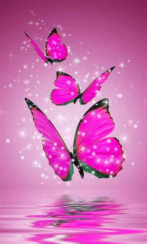 Butterflies Sparkles Hd Phone Wallpaper Peakpx