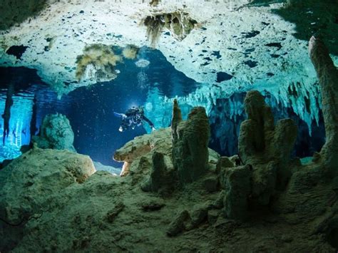 Amazing Underwater Caves Where You Can Swim And Scuba Dive Underwater Caves Cave Diving Best