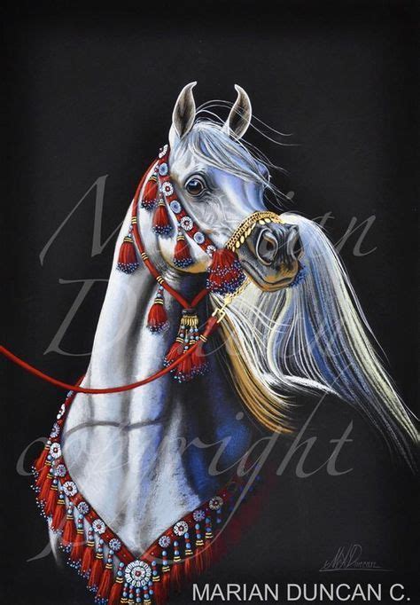 Arabian Horse Costume Arabian Horse Art Beautiful Arabian Horses