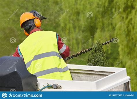 Equipped Worker Pruning A Tree On A Crane Gardening Editorial Image