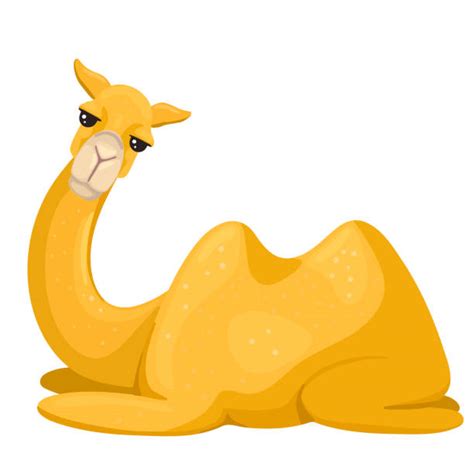 Cartoon Of A Camel Lying Down Illustrations Royalty Free Vector