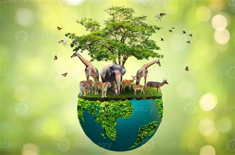 Concept Of Conserve Wildlife On Green Background 3348626 Stock Photo At