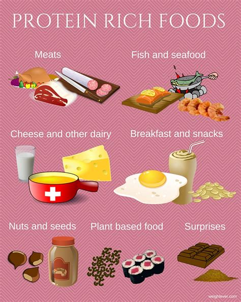 Here are 75 great food suggestions that are rich in healthy carbs, protein, and fat. Protein-Rich Foods Clip Art - Cliparts
