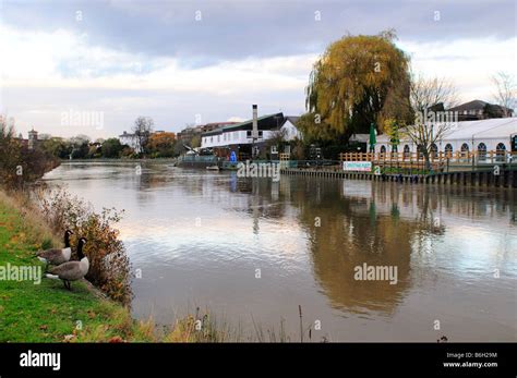 River Thames With Raven S Ait Island In Kingston Surrey Stock Photo Alamy