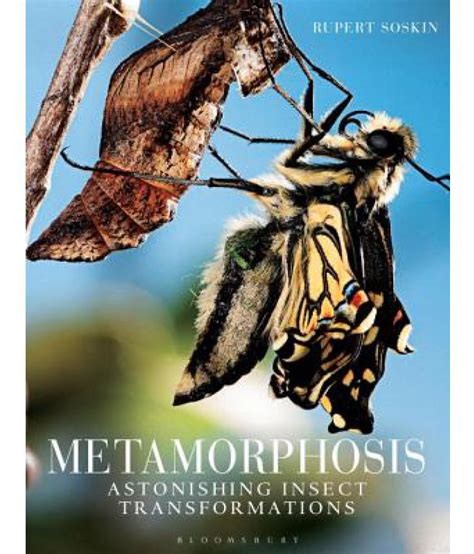 Metamorphosis Buy Metamorphosis Online At Low Price In India On Snapdeal