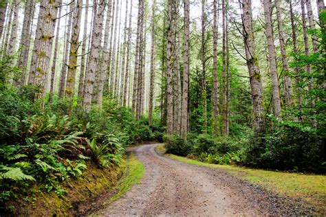 What To See And Do On Kitsap Peninsula