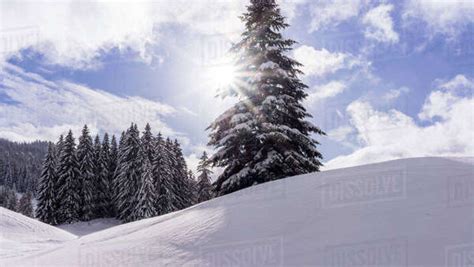 Aerial View Of Winter Landscape In Jura Mountains Gingins Switzerland