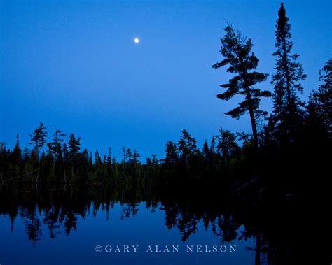 Full Moon Over Moon Lake Boundary Waters Canoe Area Wilderness