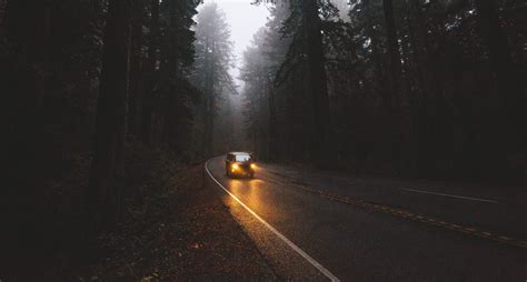 Download in under 30 seconds. photography, Landscape, Pine trees, Car, Road HD ...