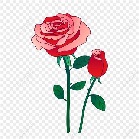 Lukisan Sejambak Bunga Ros Ilustrasi Sejambak Bunga Mawar Merah