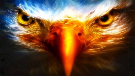 Eagle Wallpapers 68 Images