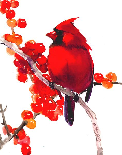 Cardinal Bird Painting Original Watercolor Art Etsy