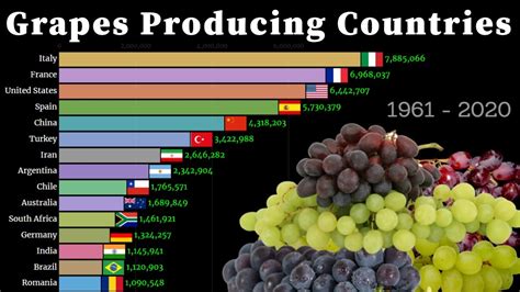 Largest Grapes Producing Countries 1961 2020 Italian Food